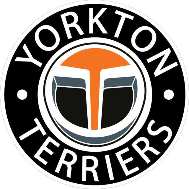 Yorkton Terriers 2016-Pres Primary Logo iron on heat transfer